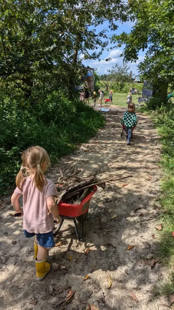 Oogst zelf je groenten - kinderen