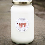 Zuivel • Gepasteuriseerde melk